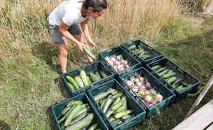 Placeholder for Fotogragie1 Gelukkige Groentes Rechtenvrij Jorian Xx Liselotte Raben