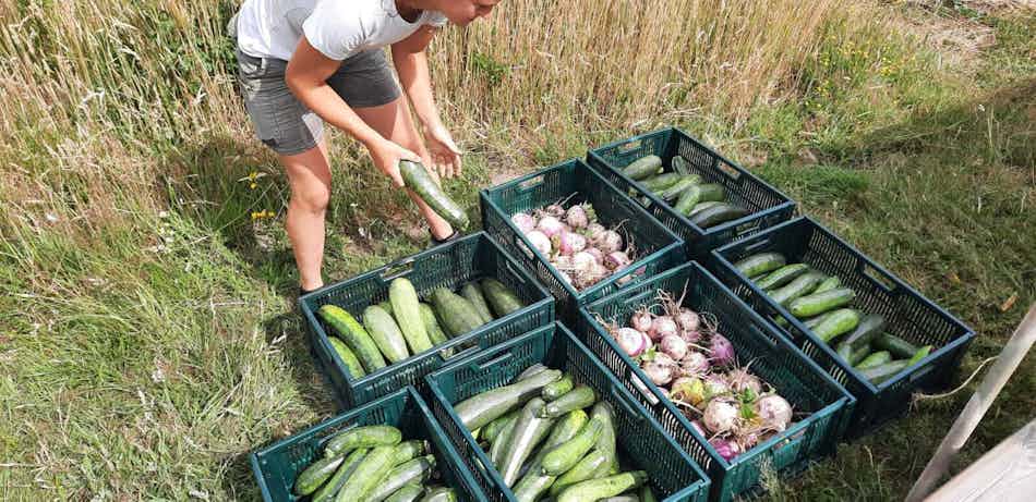 Placeholder for Fotogragie1 Gelukkige Groentes Rechtenvrij Jorian Xx Liselotte Raben