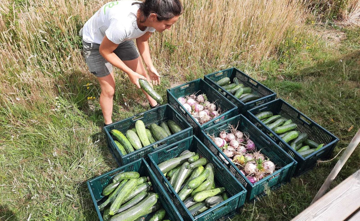 Fotogragie1 Gelukkige Groentes Rechtenvrij Jorian Xx Liselotte Raben