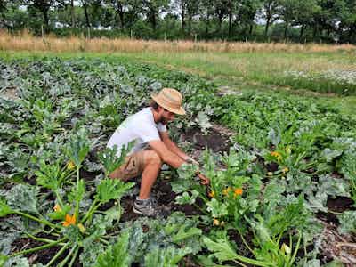 Placeholder for Fotogragie2 Gelukkige Groentes Rechtenvrij Jorian Xx Liselotte Raben