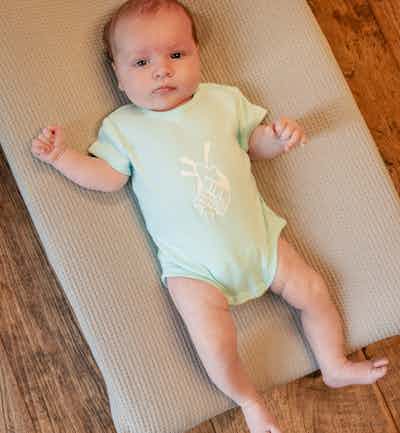 Placeholder for Ward Borremans dear ivy 07547