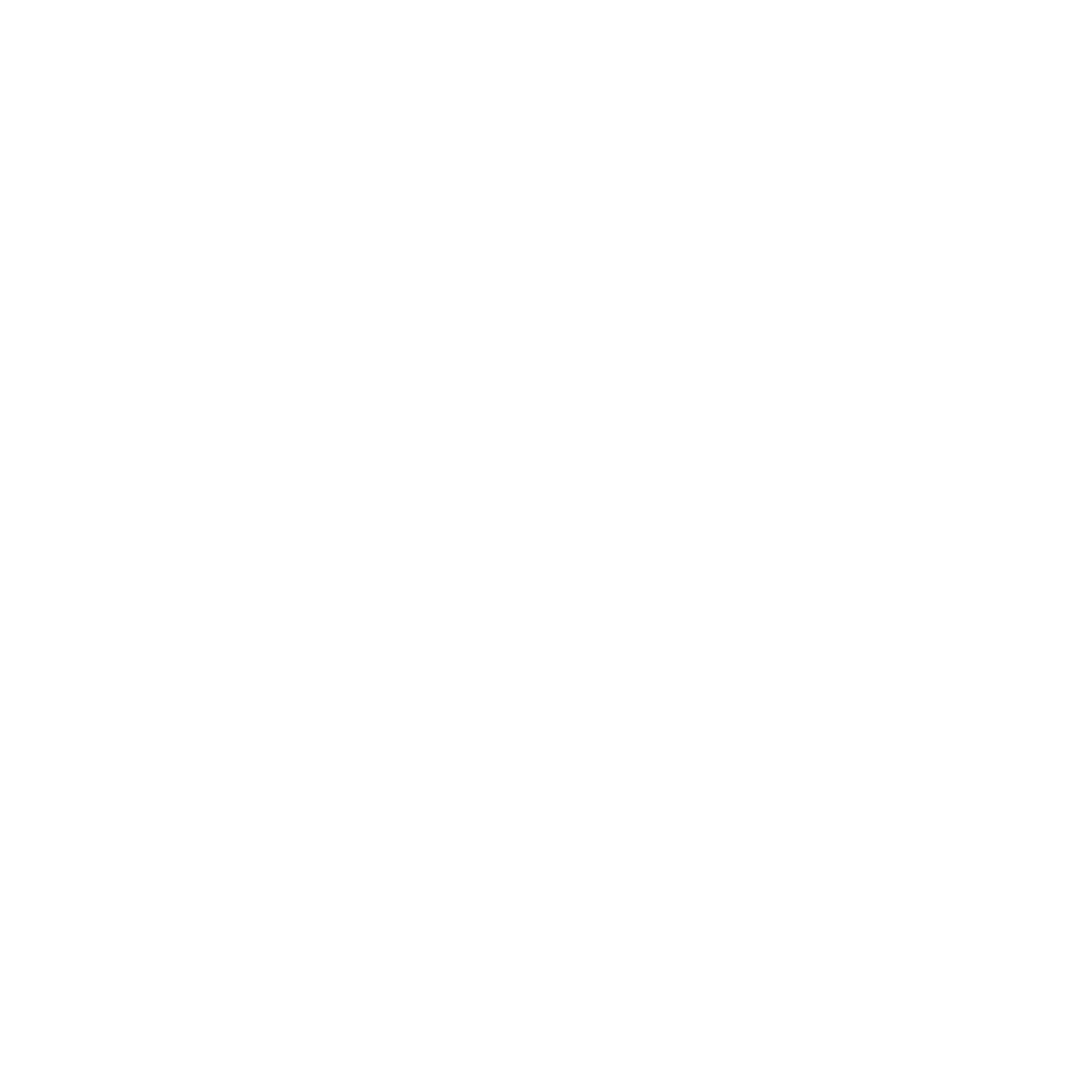Logo St Stevens wit