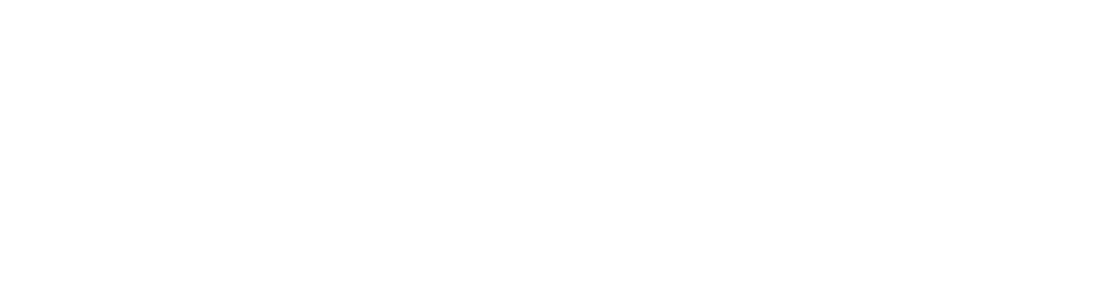 Logo hertogplein wit