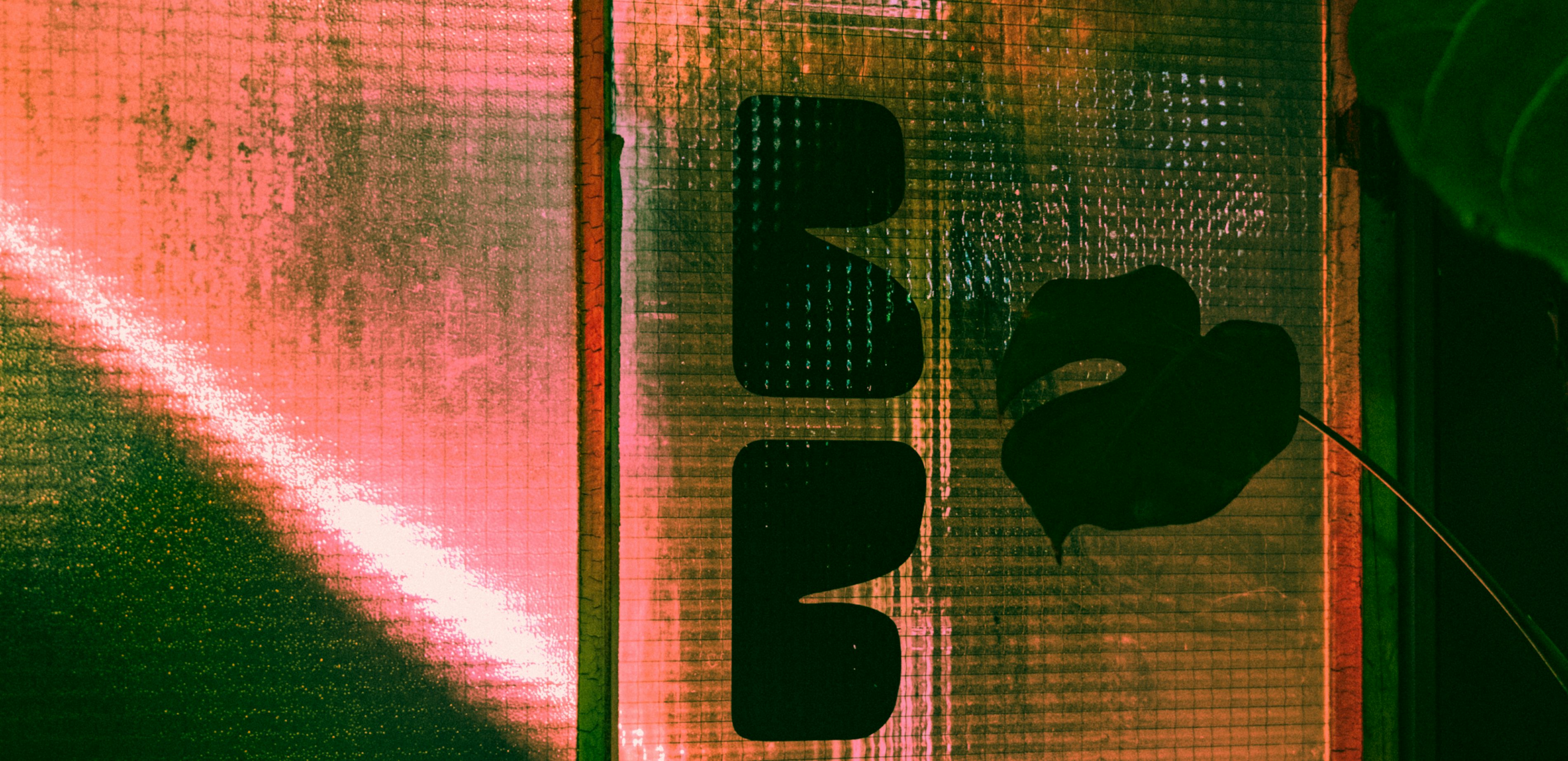 19 BLOEMENBAR10 YEARSUB 20230203 205854 SANDERVDVEN