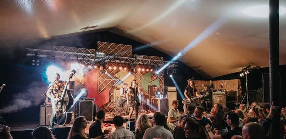 Placeholder for Kelly cats