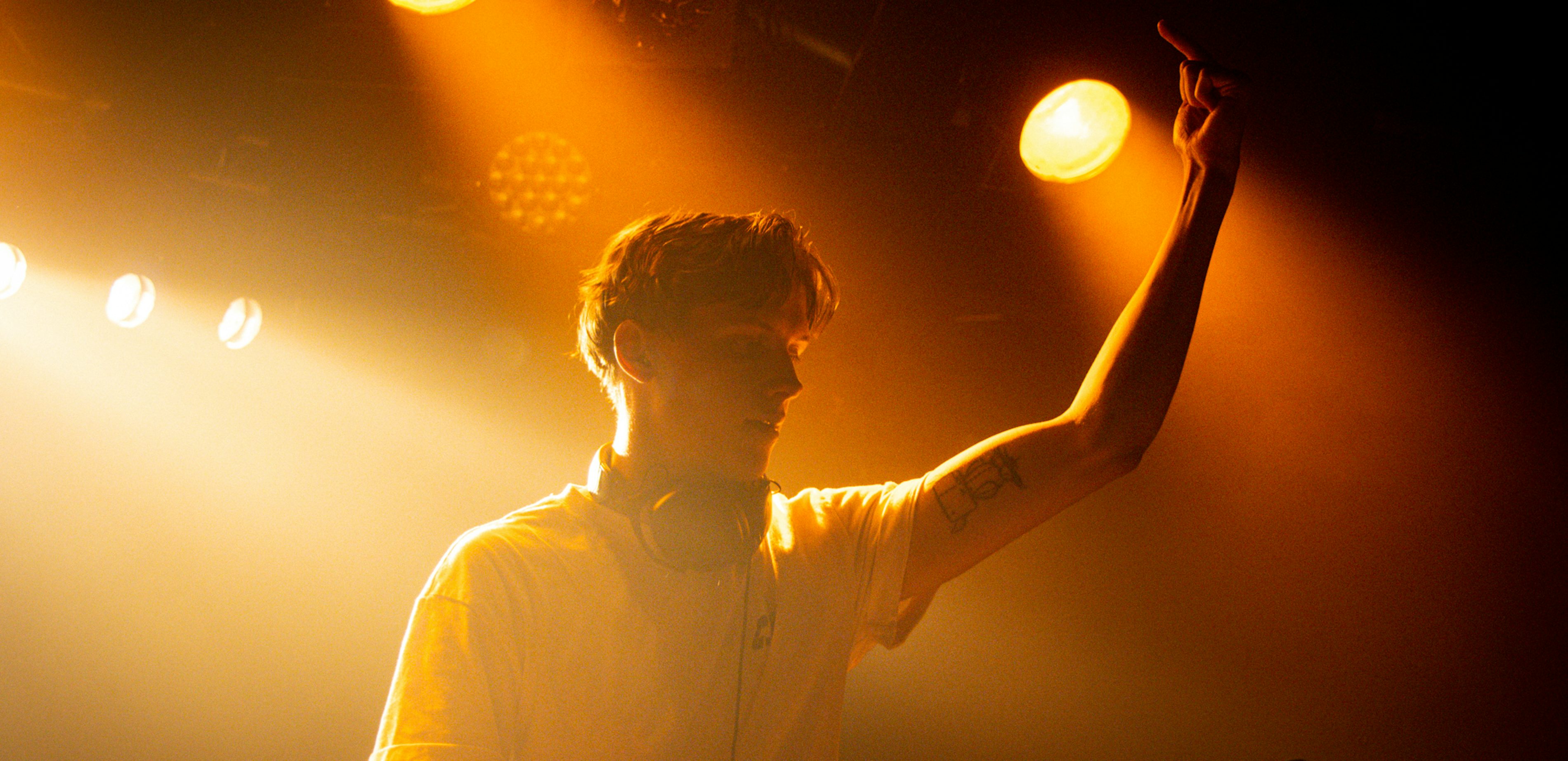 Stadseiland Stek Funky Forest Image