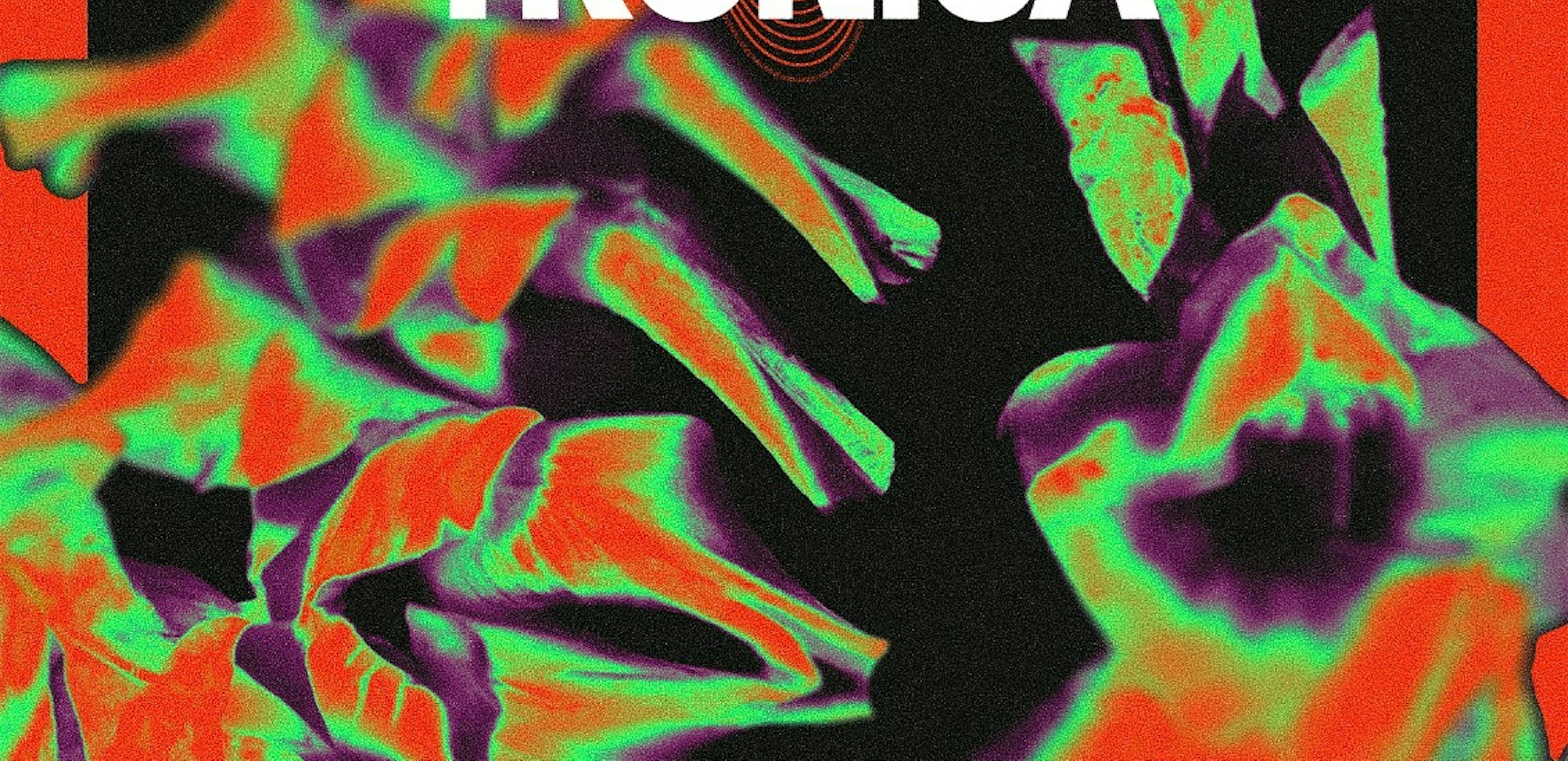 Whats App Image 2023 06 02 at 16 40 36