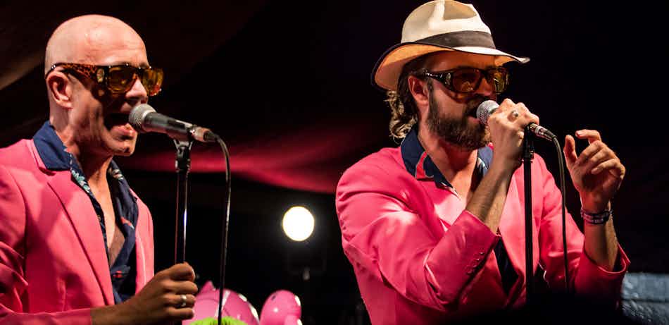 Placeholder for Flamingos zingend