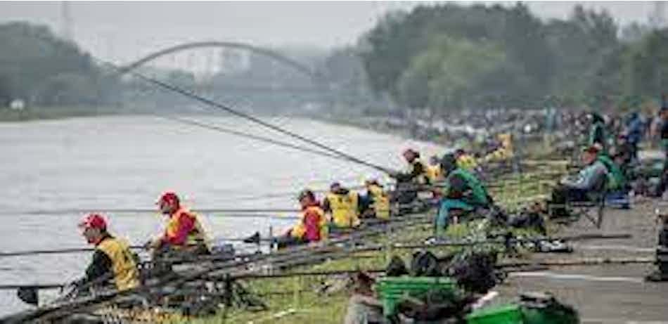 Placeholder for Vlegel 2